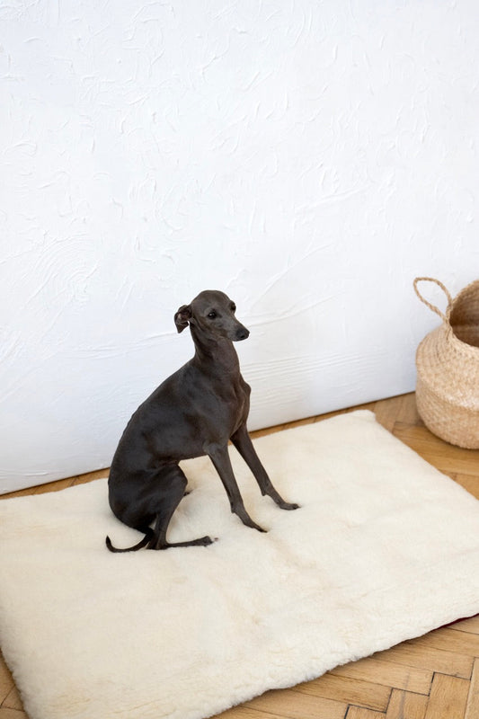 Square or Rectangular Natural Woolen Pet Mat - White-1