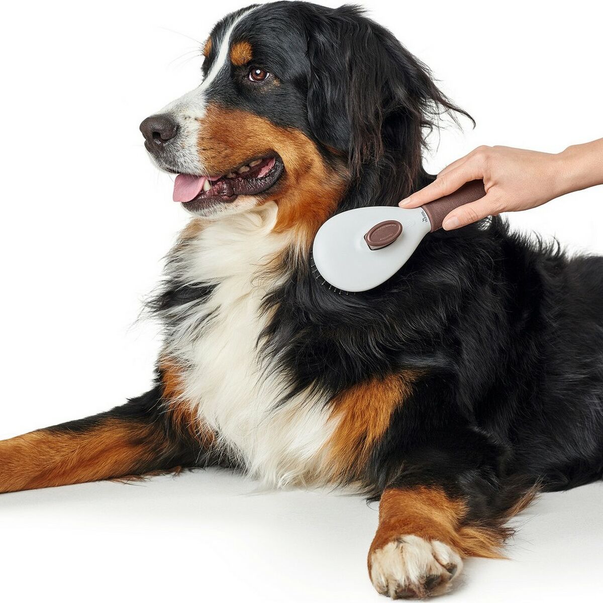 Detangling Hairbrush Hunter Self-cleaning-3