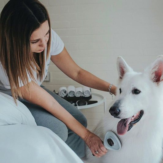 Backcombing brush Hunter Self-cleaning-1