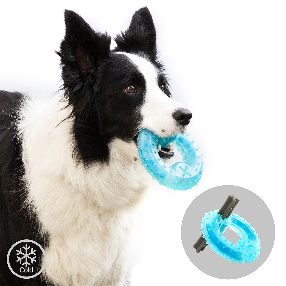 2-in-1 Freezable Pet Chew Toy Glubiz InnovaGoods-5