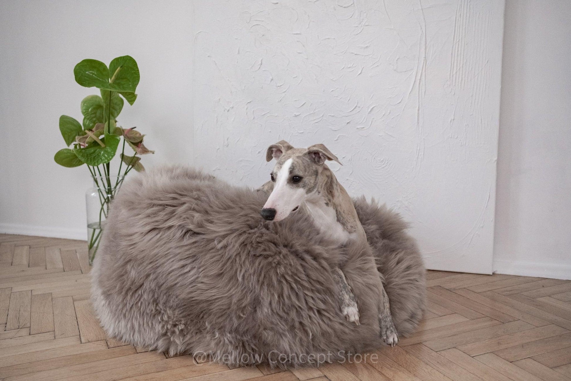 Oval Natural Sheepskin Pet Bed - Greige-2