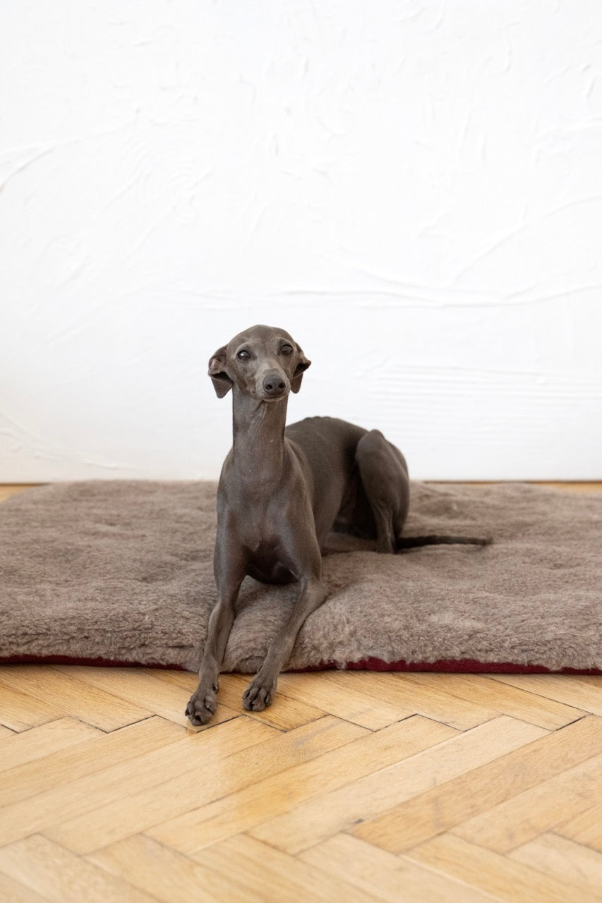 Square or Rectangular Natural Woolen Pet Mat - Beige-2