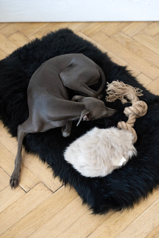 Natural Sheepskin Dog Tug Toy - Beige-0