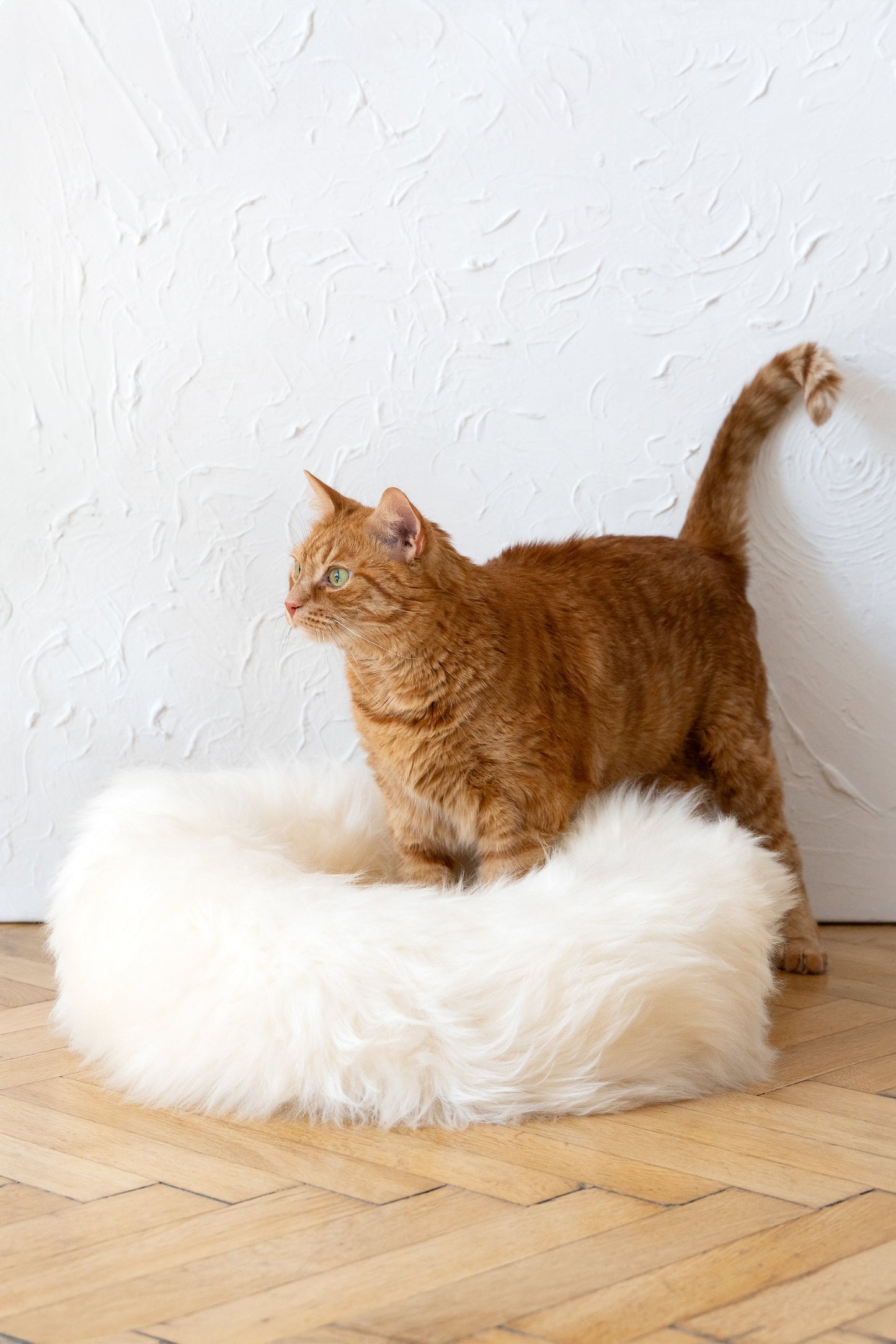 Round Natural Sheepskin Pet Bed - White-4