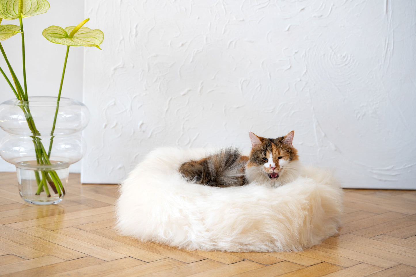 Round Natural Sheepskin Pet Bed - White-0